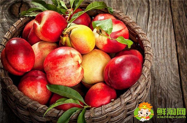 油桃热量高吗(44大卡属4星级减肥食物),油桃热量高还是毛桃