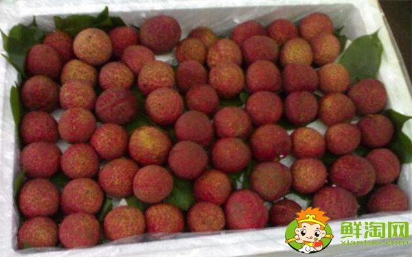 荔枝怎么保存时间长,荔枝怎么保存不会坏