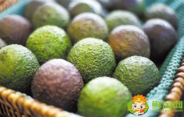 牛油果怎么挑,牛油果吃大个还是小个