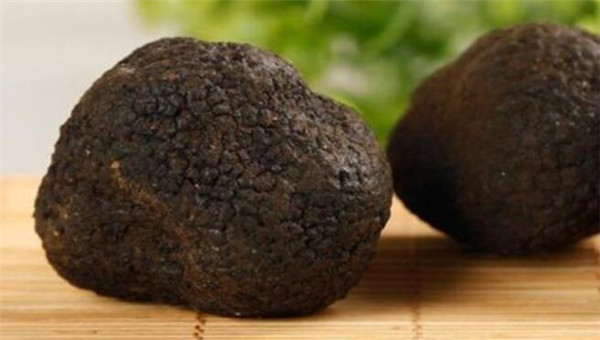 黑松露的营养价值,黑松露的功效与作用