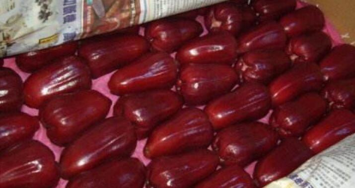 新鲜莲雾怎么保存不容易坏? 莲雾保鲜方法推荐