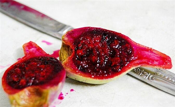 仙人掌果怎么吃,仙人掌果的吃法