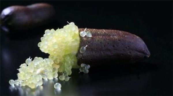 澳洲指橙哪个品种好吃,澳洲指橙吃了会胖吗