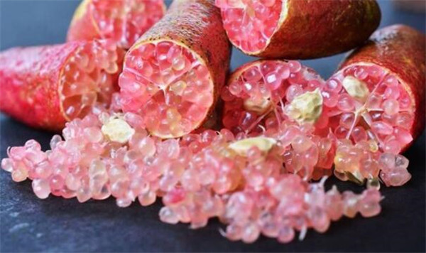 澳洲指橙哪个品种好吃,澳洲指橙吃了会胖吗