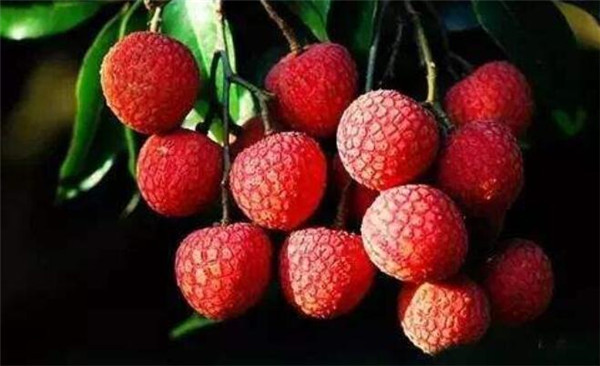 新鲜荔枝上火吗,荔枝的功效与作用