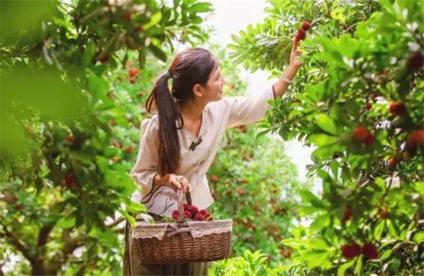 哺乳期吃杨梅上火吗,哺乳期有点上火可以吃杨梅吗