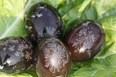 全草木灰可以做皮蛋吗,如何做松花皮蛋