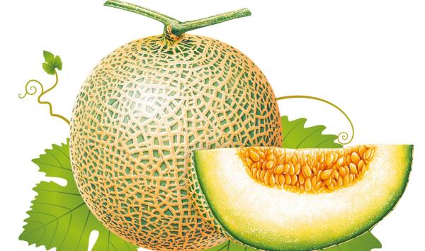 哈密瓜上火吗,哈密瓜吃多了会上火吗