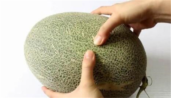 哈密瓜怎么挑好吃,哈密瓜和西洲蜜有什么区别