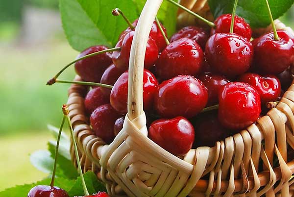 吃樱桃上火吗,樱桃上火还是降火