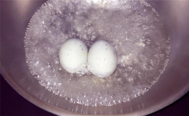 松花蛋怎么煮不会爆,松花蛋怎么煮不粘糊