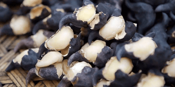 菱角怎么煮外壳才不黑,菱角粉藕粉如何做成糕