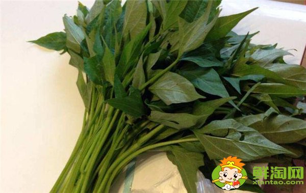 地瓜叶子怎么做好吃,地瓜叶的做法