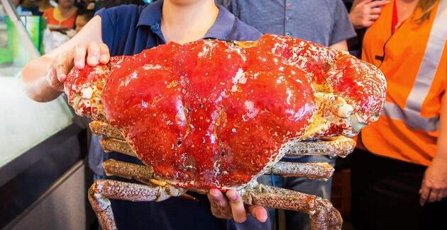 帝王蟹和皇帝蟹一样吗,帝王蟹和皇帝蟹的区别