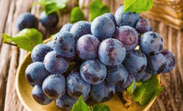 夏黑葡萄是凉性的吗，夏黑葡萄的功效与作用