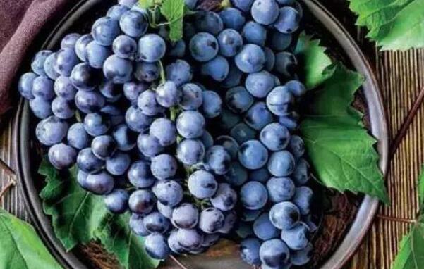 巨峰葡萄与夏黑哪个好，夏黑葡萄的功效与作用