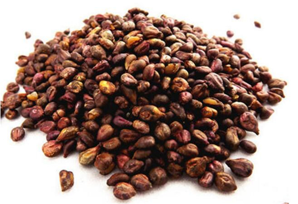 水晶葡萄的籽可以吃吗,水晶葡萄产地在哪