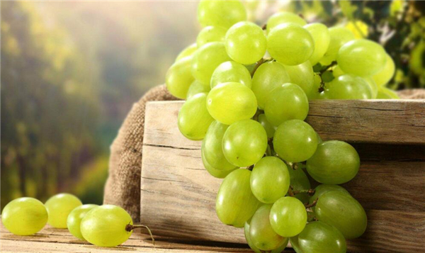 水晶葡萄的籽可以吃吗,水晶葡萄产地在哪