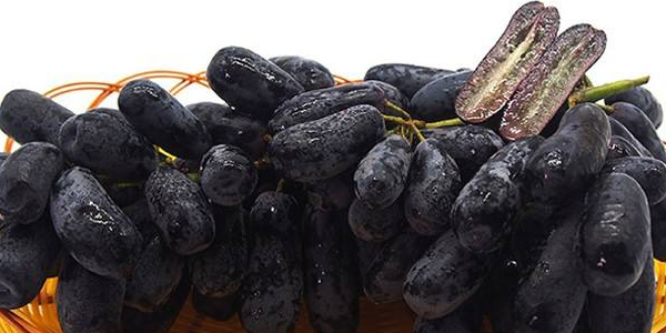 进口金手指黑提上市时间,进口黑提产地在哪里