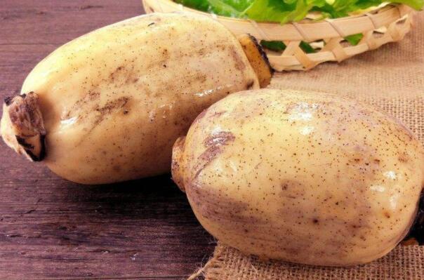 新垦莲藕节何时开,新垦莲藕哪里买