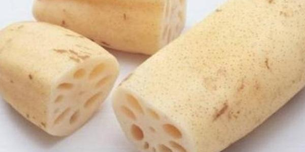 九眼莲藕产自哪里,珠海斗门哪里产莲藕