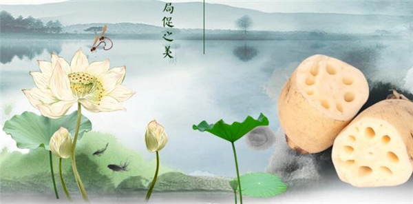 浅水莲藕什么时候下种,极早熟浅水莲藕品种