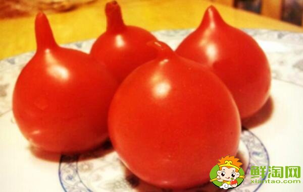 春桃圣女果是转基因吗,春桃和圣女果的区别