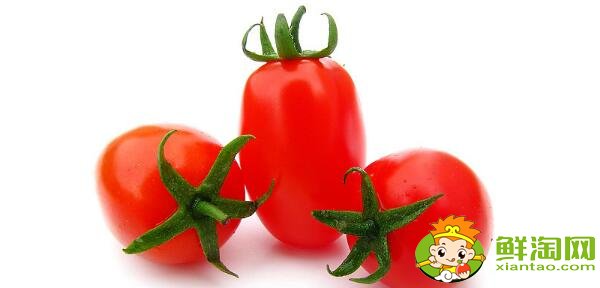 春桃圣女果是转基因吗,春桃和圣女果的区别