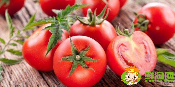 红柿与春桃有什么区别,柿子和普通西红柿的区别