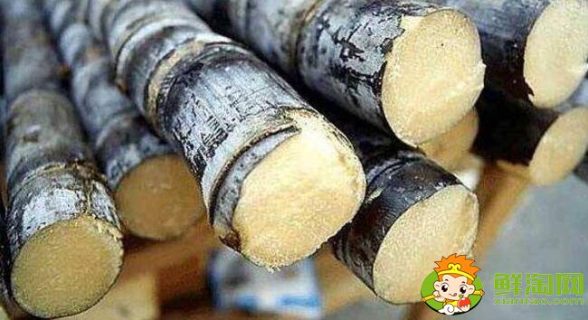 广西甘蔗一年几熟,广西甘蔗一年几季