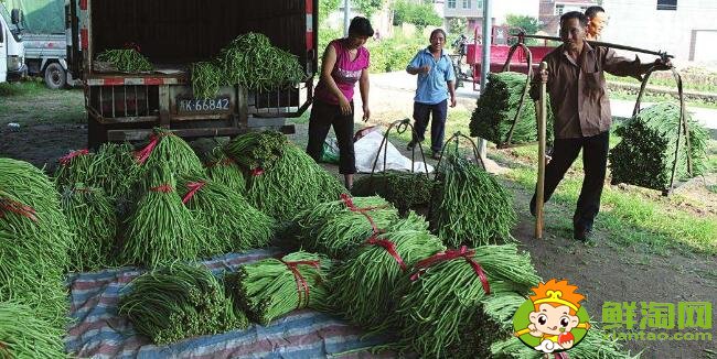 长豆角怎么挑选,长豆角怎么区分老的和嫩的