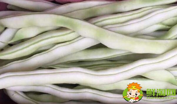 白色的豆角叫什么,白不老豆角有毒吗