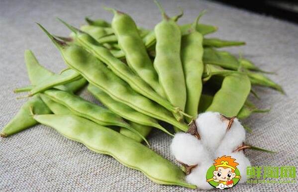 油豆角怎么冷冻保存,油豆角怎么冻冬天好吃