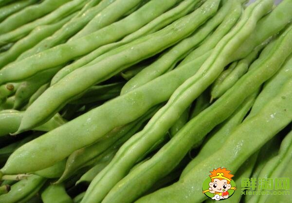 各种豆角图片和名称,适合北方种的各种豆角图片