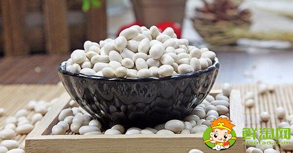 芸豆长什么样,芸豆品种图片大全