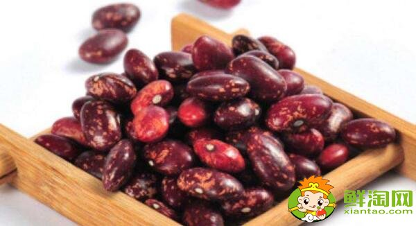 芸豆长什么样,芸豆品种图片大全