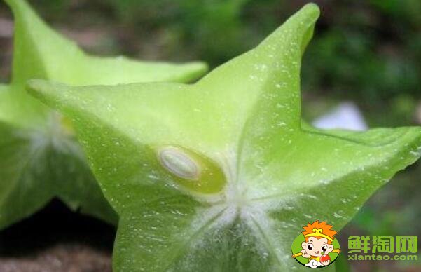 杨桃的正确吃法是什么,吃杨桃的正确剥法图解