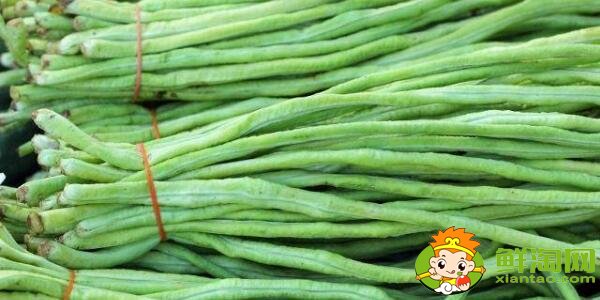 新鲜豆角过夜怎样保存,没有煮过水的长豆角怎么保存