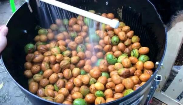 青皮核桃怎么去皮快,新鲜核桃如何去青皮