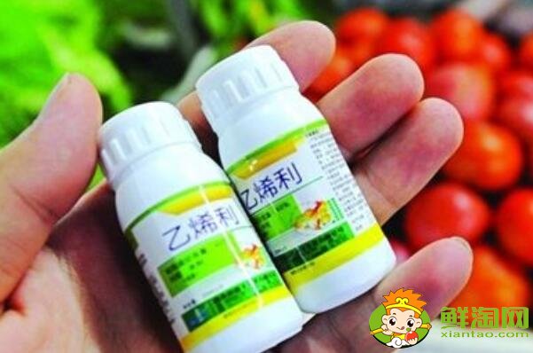 青皮核桃怎么吃,核桃去青皮用什么药