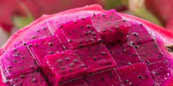 火龙果汁可以加牛奶吗,火龙果和什么榨汁好喝