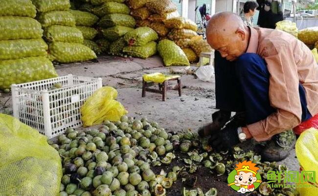 青皮核桃那里卖,青皮核桃是哪里的出名