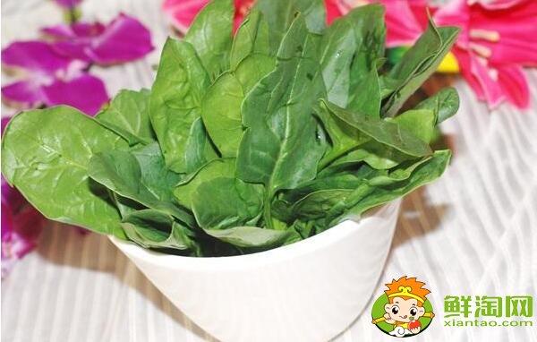 菠菜什么季节吃,菠菜可不可以生吃