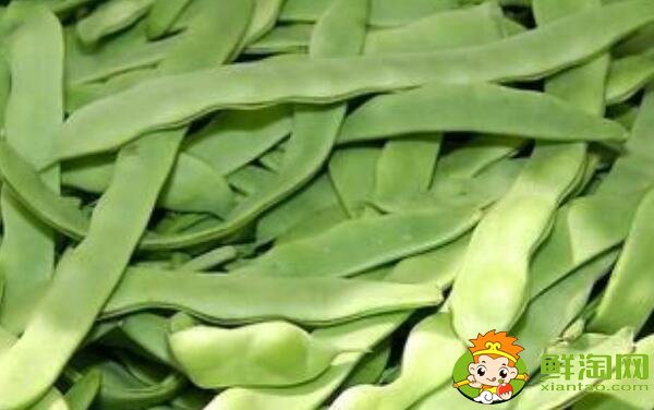 扁豆什么品种好,最大的扁豆品种