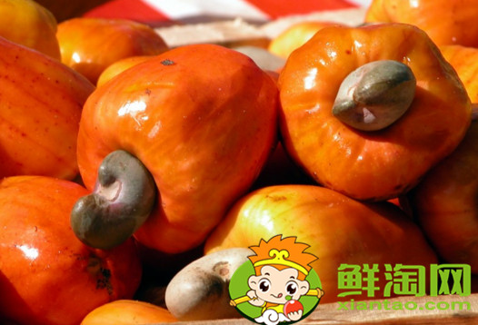 越南腰果带皮好还是不带皮好,带皮腰果和炭烧腰果有什么区别