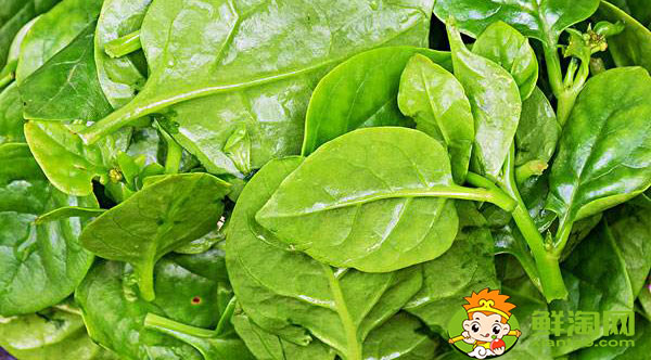 木耳菜的根茎能吃吗,开花的木耳菜吃起来怎么是酸的