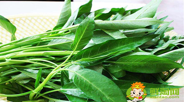 吃不完的空心菜怎么处理,空心菜怎么放到第二天