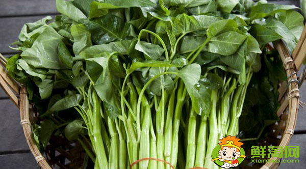 空心菜要怎么挑洗,长的空心菜怎么处理