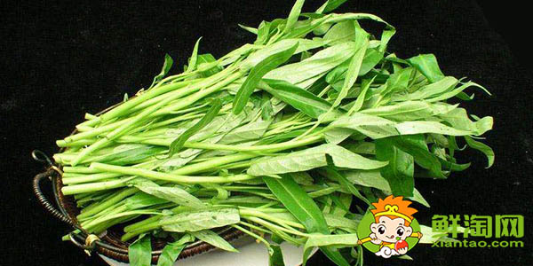 哪种空心菜好吃,空心菜和竹叶菜的区别