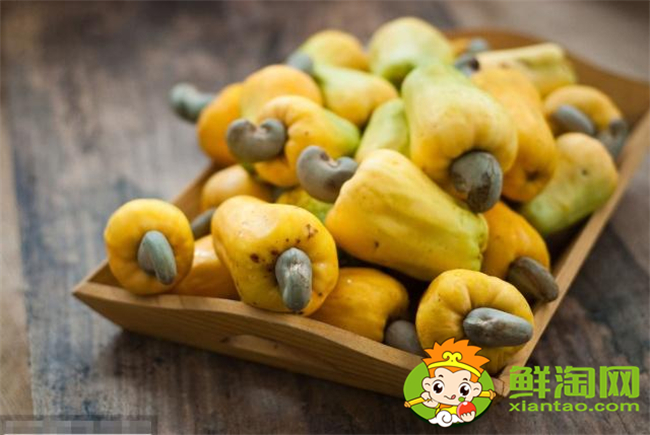 腰果是水果还是蔬菜,莲雾和腰果有关系吗